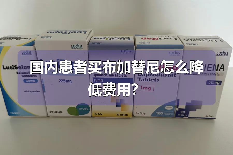 国内患者买布加替尼怎么降低费用？