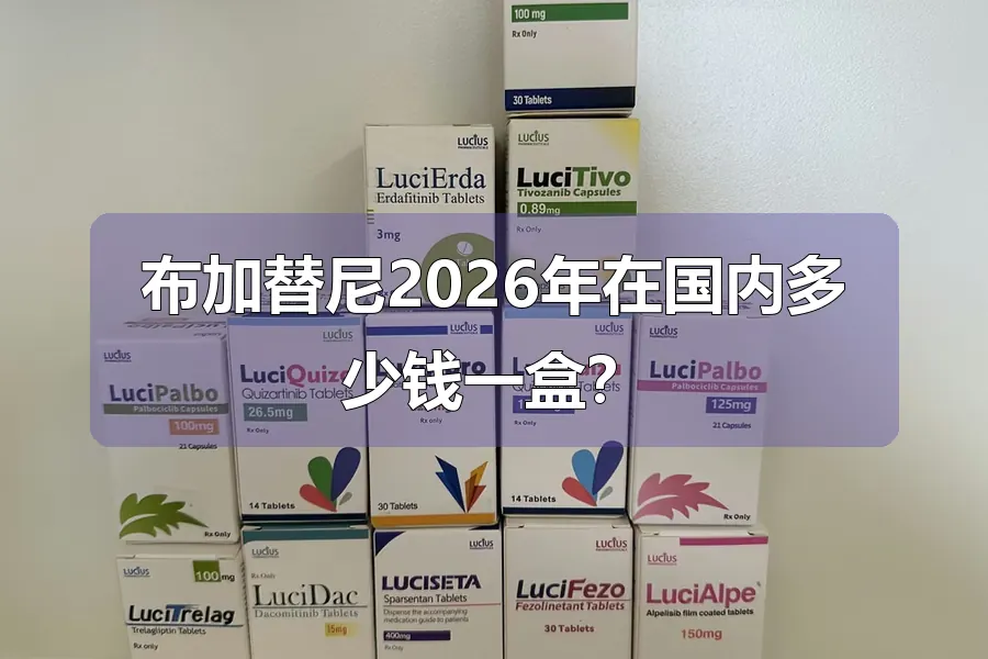 布加替尼2026年在国内多少钱一盒？